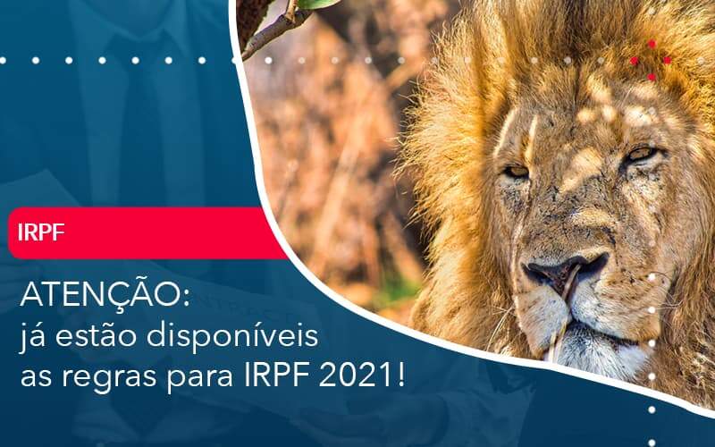 Ja Estao Disponiveis As Regras Para Irpf 2021 Organização Contábil Lawini - Contabilidade em Joinville - SC | Dominium Contabilidade